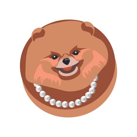 Pomeranian spitz longhaired dog in necklace on whiteのイラスト素材