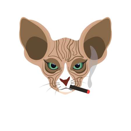 Sphynx hairless cat face with cigarette isolated on whiteのイラスト素材