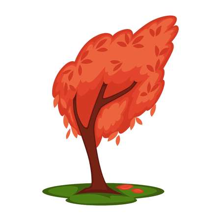Bowed tree with red leaves isolated on white. Vector colorful illustration in flat design of tall wood in windy cold weather in autumn season with falling foliage on green land. Nature templateのイラスト素材