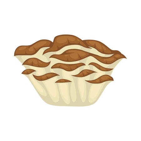 Maitake boletus close-up flat icon on white backgroundのイラスト素材