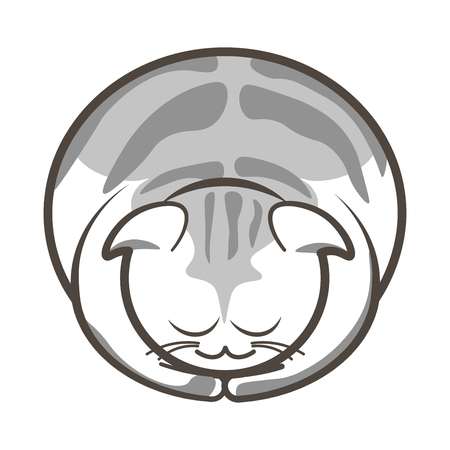 Vector illustration of gray colored cute sleepy cat on the white background.のイラスト素材