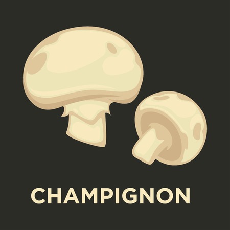 Champignon edible mushroom isolated flat vector iconのイラスト素材