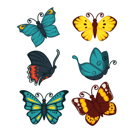 Colorful butterfly set of six isolated on whiteのイラスト素材
