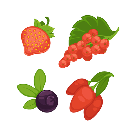 Set of different berriesのイラスト素材