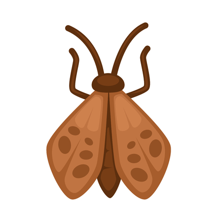 Brown moth with dark stains on wings and long straight antennae and thin paws isolated cartoon vector illustration on white background. Butterfly without bright pattern that flies only at night.のイラスト素材