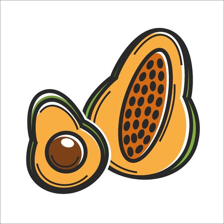 Avocado fruit Cuba travel popular destination and famous culture landmark vector iconのイラスト素材