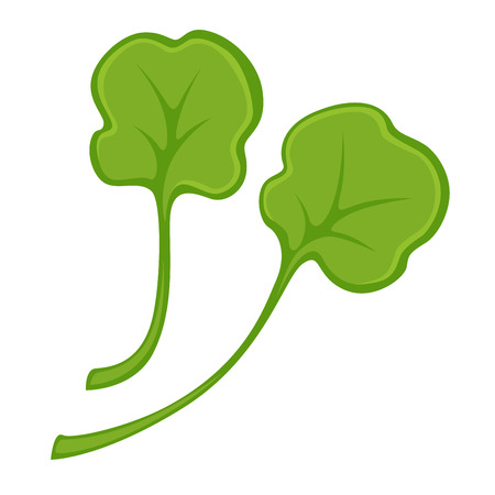 Vector illustration of pair of green fresh leaves isolated on white.のイラスト素材