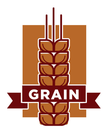Qualitative grain product isolated emblem with ripe spikeのイラスト素材