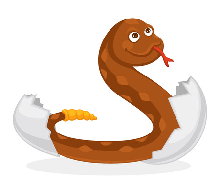 Baby rattlesnake that hatched from egg isolated illustrationのイラスト素材