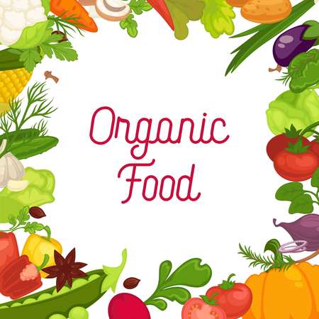 Organic vegetables fresh veggies, salads spice natural herb vegetarian food vector posterのイラスト素材