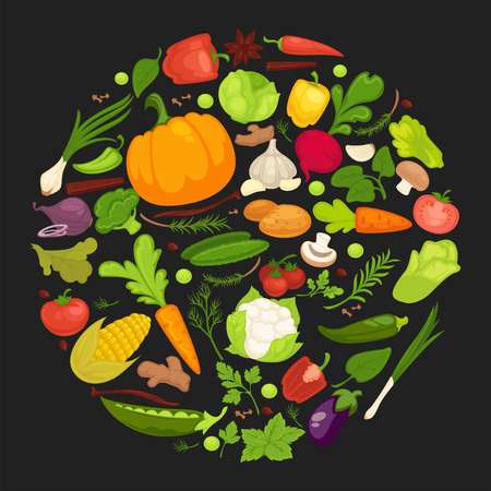 Farm product vegetables fresh organic spice herb natural vegetarian food vector harvestのイラスト素材