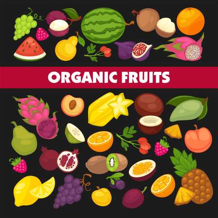 Organic fruits and berries harvest poster of fresh natural pear, grape and tropical banana.のイラスト素材
