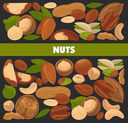 Delicious nutritious nuts vector illustrationのイラスト素材