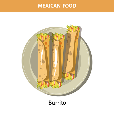 Tasty Burrito served on plate from Mexican foodのイラスト素材