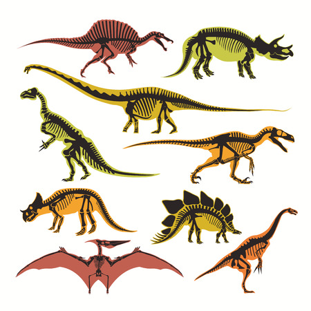 Dinosaurs skeletons and silhouettes vector flat isolated icons of tyrannosaurus, pterodactyl and brontosaurusのイラスト素材