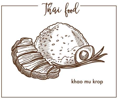 Khao mu krop with egg from Thai foodのイラスト素材