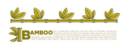 Bamboo leaf banner or poster background for SPA center or relax and beauty salon. Vector tropical palm or bamboo sprouts with green leaf for Zen or Asian and botany design templateのイラスト素材