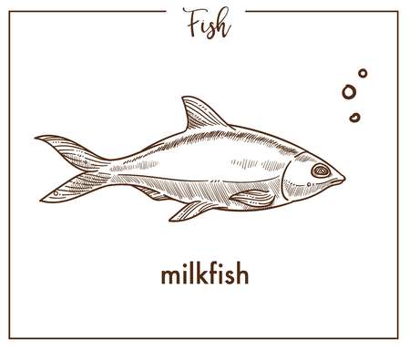 Milkfish sketch fish vector icon of chanosのイラスト素材