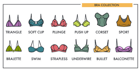 Woman bra types collection vector icons of fashion brassiere lingerie.のイラスト素材