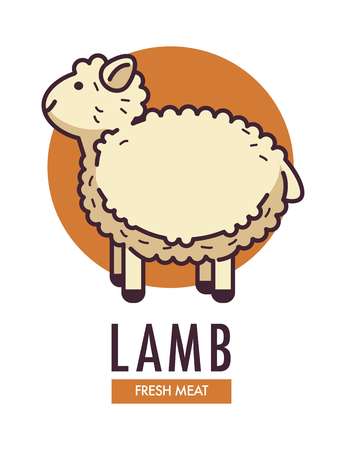 Lamb fresh meat promotional emblem with fluffy sheep Vector illustration.のイラスト素材