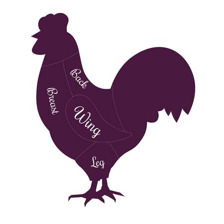 Chicken poultry fowl meat cuts butcher vector icon