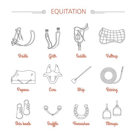 Equitation equestrian sport equipment vector iconsのイラスト素材