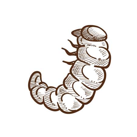 Larva harmful insect monochrome outline sketch. Caterpillar with small legs, parasite for fields and crops of farmers in the summer time. Products destroyer isolated on white vector illustrationのイラスト素材