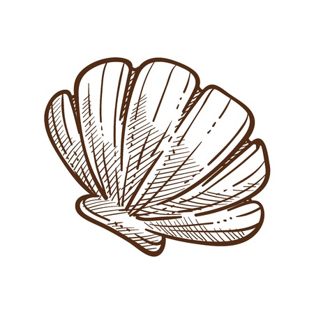 Scallop shell monochrome sketch outline. Marine object with hard protective outer case of a mollusk. Souvenirs of underwater organism with wavy surface, isolated on white vector illustrationのイラスト素材