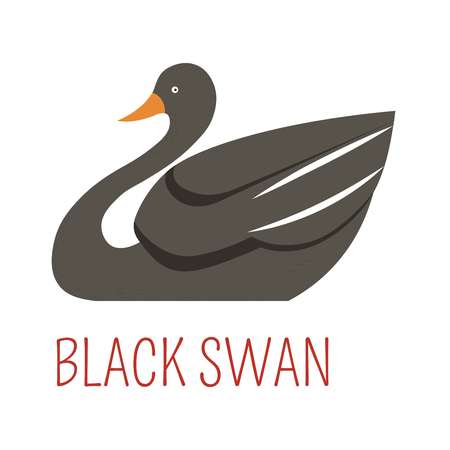 Black swan cartoon funny cute bird from vector Australian or New Zealand animals zoo collection for kids T-shirt clothes printのイラスト素材