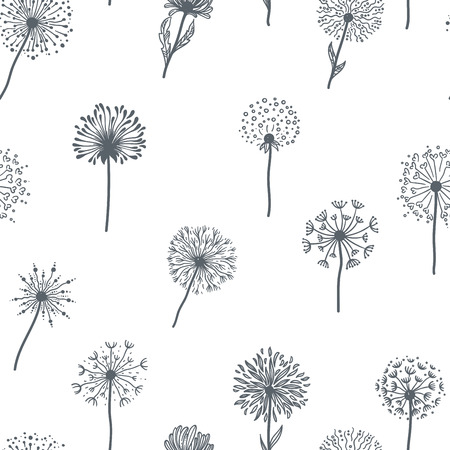 Dandelion old plant with seeds sketches outline,  pattern vectorのイラスト素材