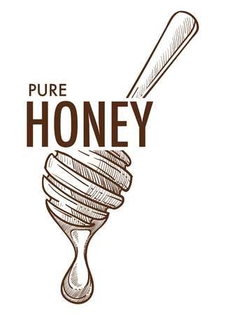 Pure honey poster monochrome sketch outline vector, logo of natural organic product with sweet taste.のイラスト素材