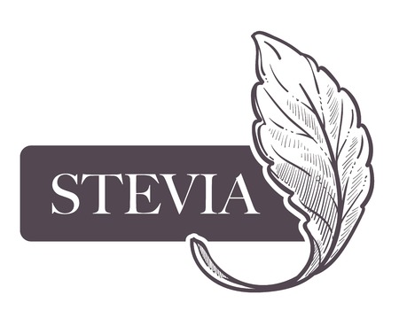 Stevia natural sweetener, leaf put in drink cup vector.のイラスト素材