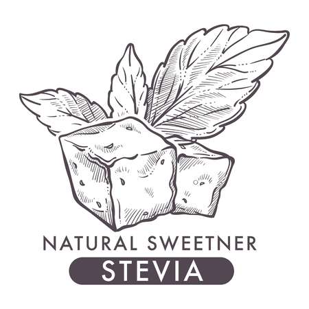 Stevia natural sweetener, leaf put in drink cup vector.のイラスト素材