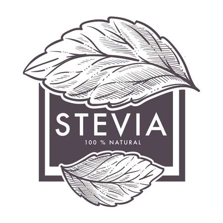 Stevia natural sweetener, leaf put in drink cup vector.のイラスト素材