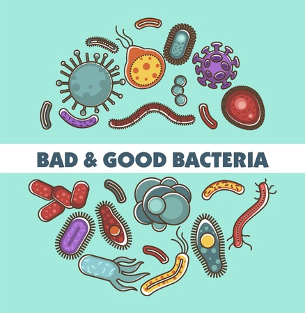Viruses, bacteria and microbes poster for biology study or medical healthcare concept. Vector flat design illustration of good and bad viruses, bacteria and microbes informationのイラスト素材