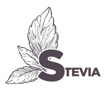 Stevia natural sweetener, leaf put in drink cup vector.のイラスト素材