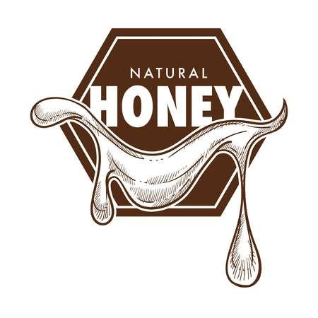 Pure honey poster monochrome sketch outline vector, logo of natural organic product with sweet taste.のイラスト素材