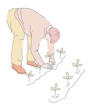 Farming person bending by growing plants food plantation vector. Greenery grown by worker caring for soil and flora, gardening male using hands to cultivate ground around bushes agriculturingのイラスト素材