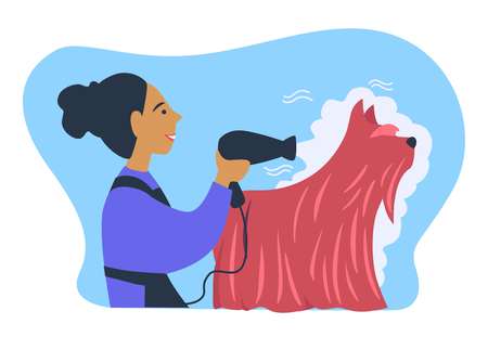 Woman owner of pet caring for animal with long furのイラスト素材