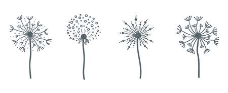 Tender wild dandelion in all phases of blooming.のイラスト素材