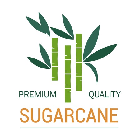 Organic sugar and sugarcane plantation vector planting and production organic plant product natural sweetener food and drink additive or condiment greenery agriculture and industrial cultivationのイラスト素材