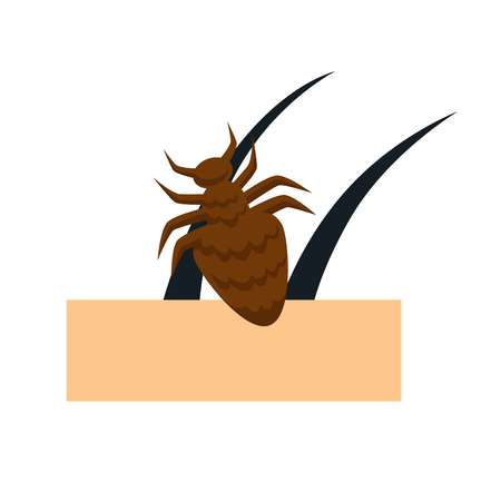 Skin tick dermatology disease or illness insectのイラスト素材