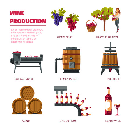 Wine production grape harvest extract juice and fermentationのイラスト素材