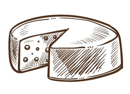 Cheese head sketch food or dairy product Swissのイラスト素材