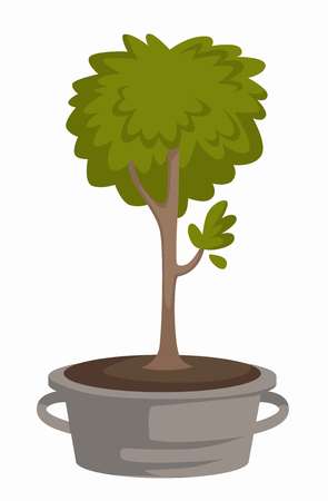 Tree sprout in metal bucket trunk and foliage growing and cultivationのイラスト素材