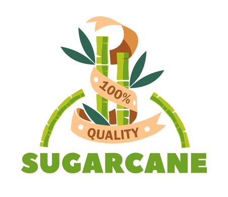 Organic sugar product sugarcane sweetener isolated iconのイラスト素材