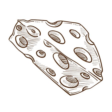 Food or dairy product, Cheese with holes isolated sketch snackのイラスト素材