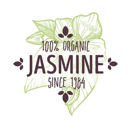 Organic herb, jasmine flowers, herbal tea and healthcare productsのイラスト素材
