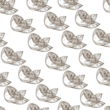 Lemon or lime with leaf monochrome seamless patternのイラスト素材