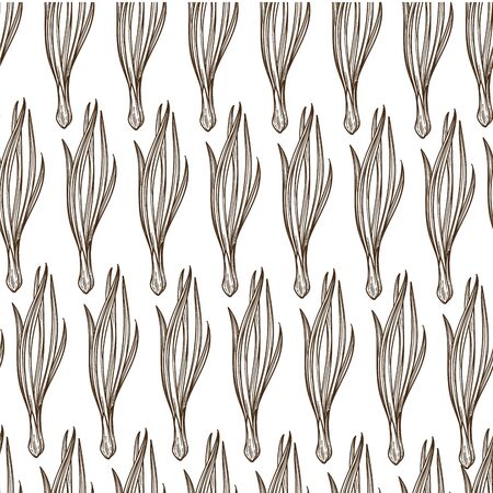 Leek onion leaves, salad or celery seamless patternのイラスト素材